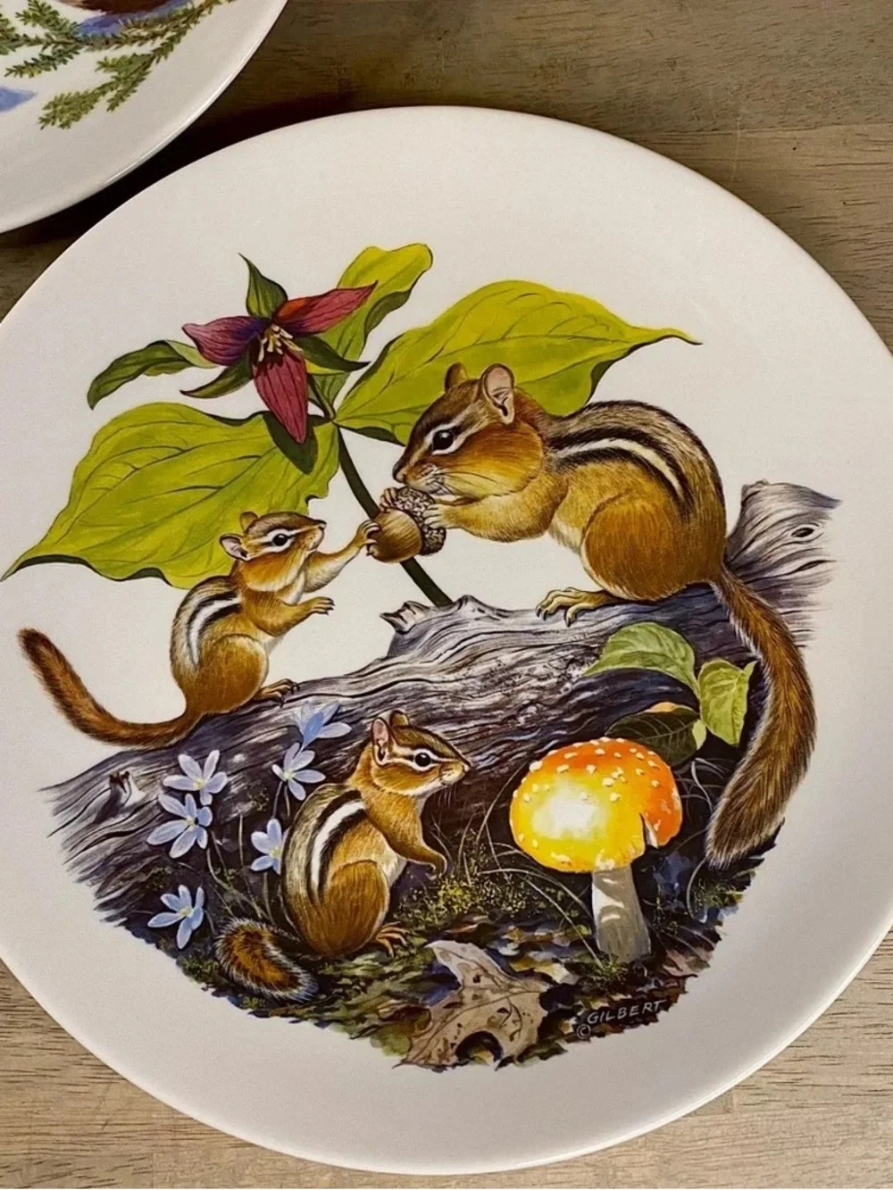 White Ceramic Decorative Plates with Fox & Chipmunk Nature Illustrations